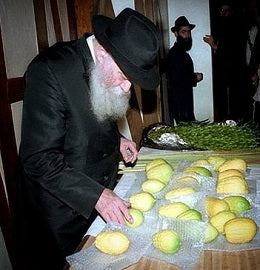 Why are esrogim grown in Kfar Chabad called "Calabrian" if they are sourced from Eretz Yisroel?