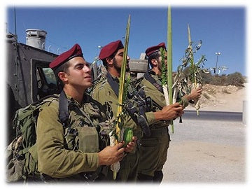 October 7 and the Arba Minim Industry: A View from the Frontlines