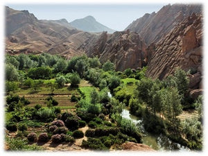 A brief history of the Moroccan Etrog