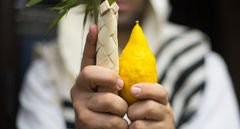 A Beginner's Guide to Shaking Arba'a Minim