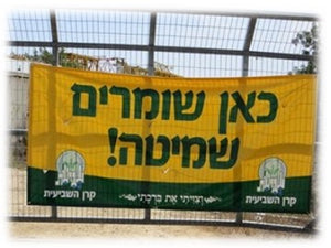 Shmita and the Arba Minim