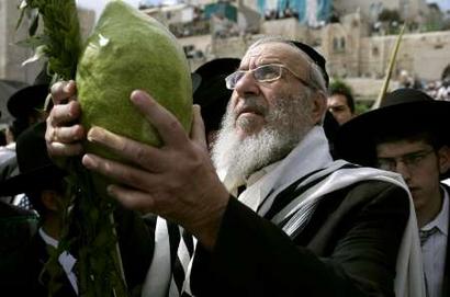 A brief history of the Yemenite Etrog