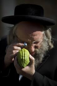 Hilchot Sukkot: What makes a set of Arba'at Haminim kosher?