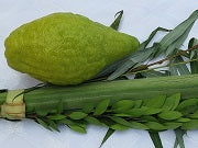 How do I keep my Arba'a Minim fresh?
