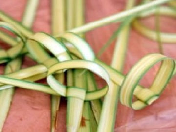 How to assemble your Lulav & Esrog
