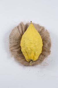 Esrogim (Eretz Yisroel)