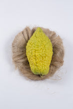 Esrogim (Eretz Yisroel)