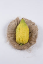 Esrogim (Eretz Yisroel)