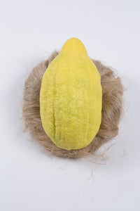 Esrogim (Eretz Yisroel)